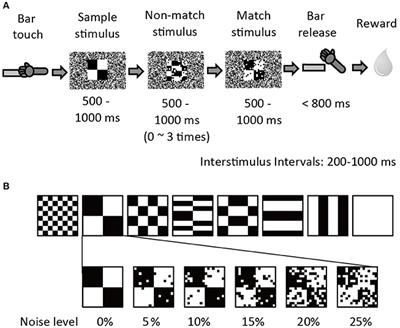 Information Accumulation over Time in Monkey Inferior Temporal Cortex Neurons Explains Pattern Recognition Reaction Time under Visual Noise